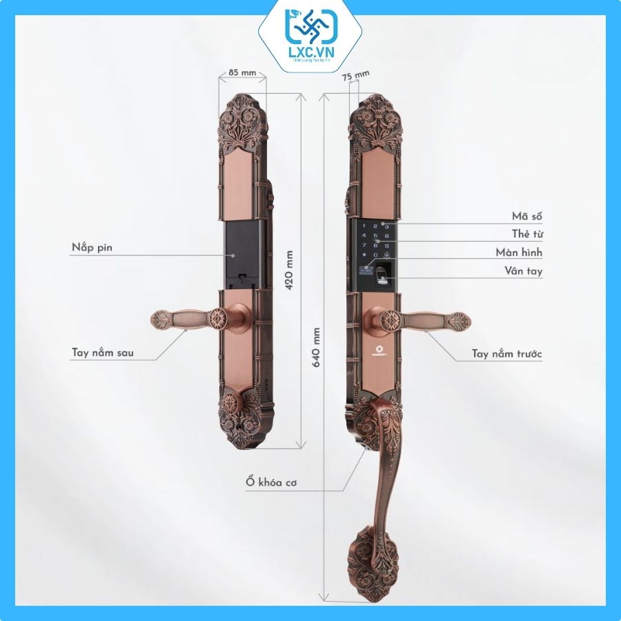 Khóa cửa vân tay tân cổ điển Homekit AB-08B I Chính hãng